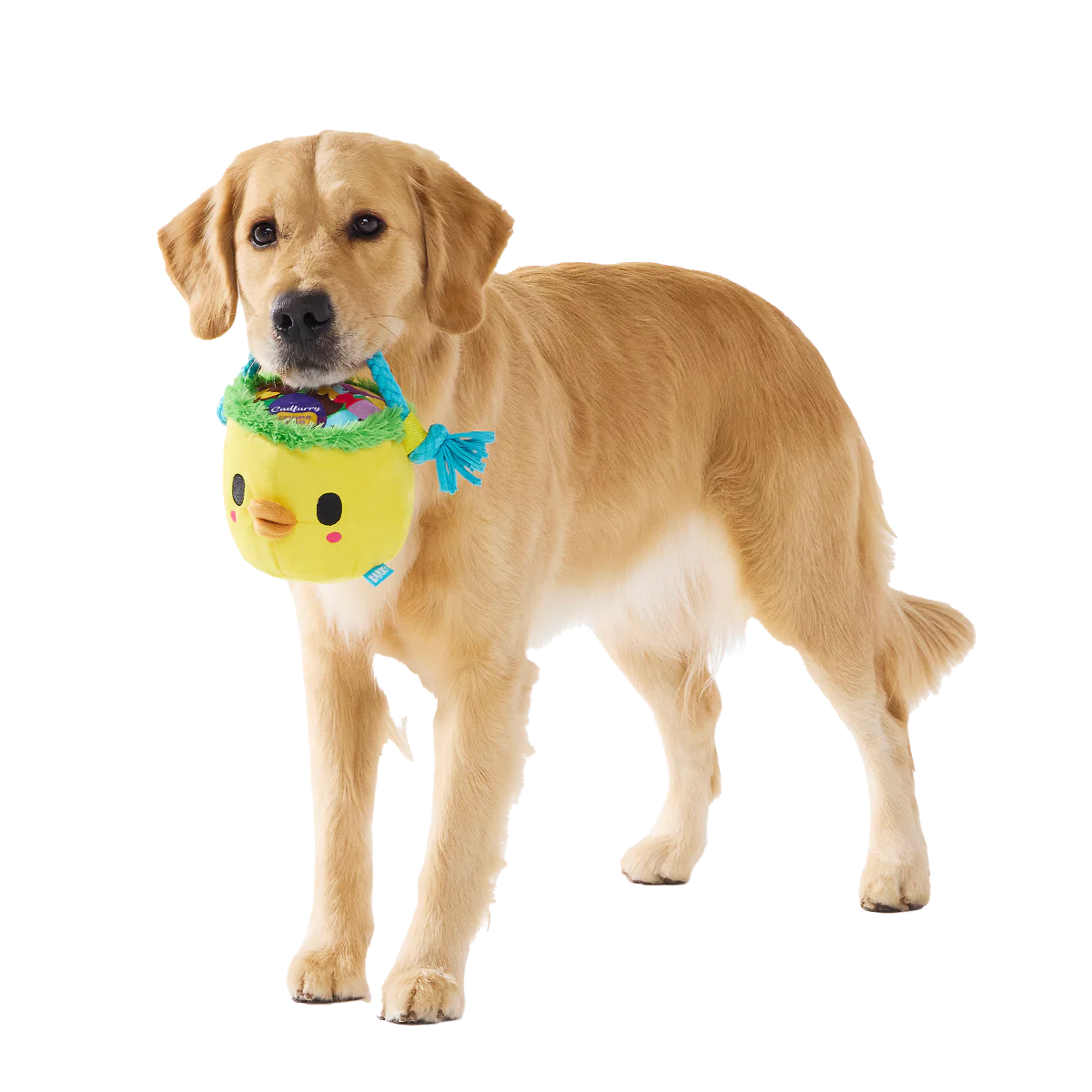 Chicky's Easter Candy Plush Tug Dog Toy