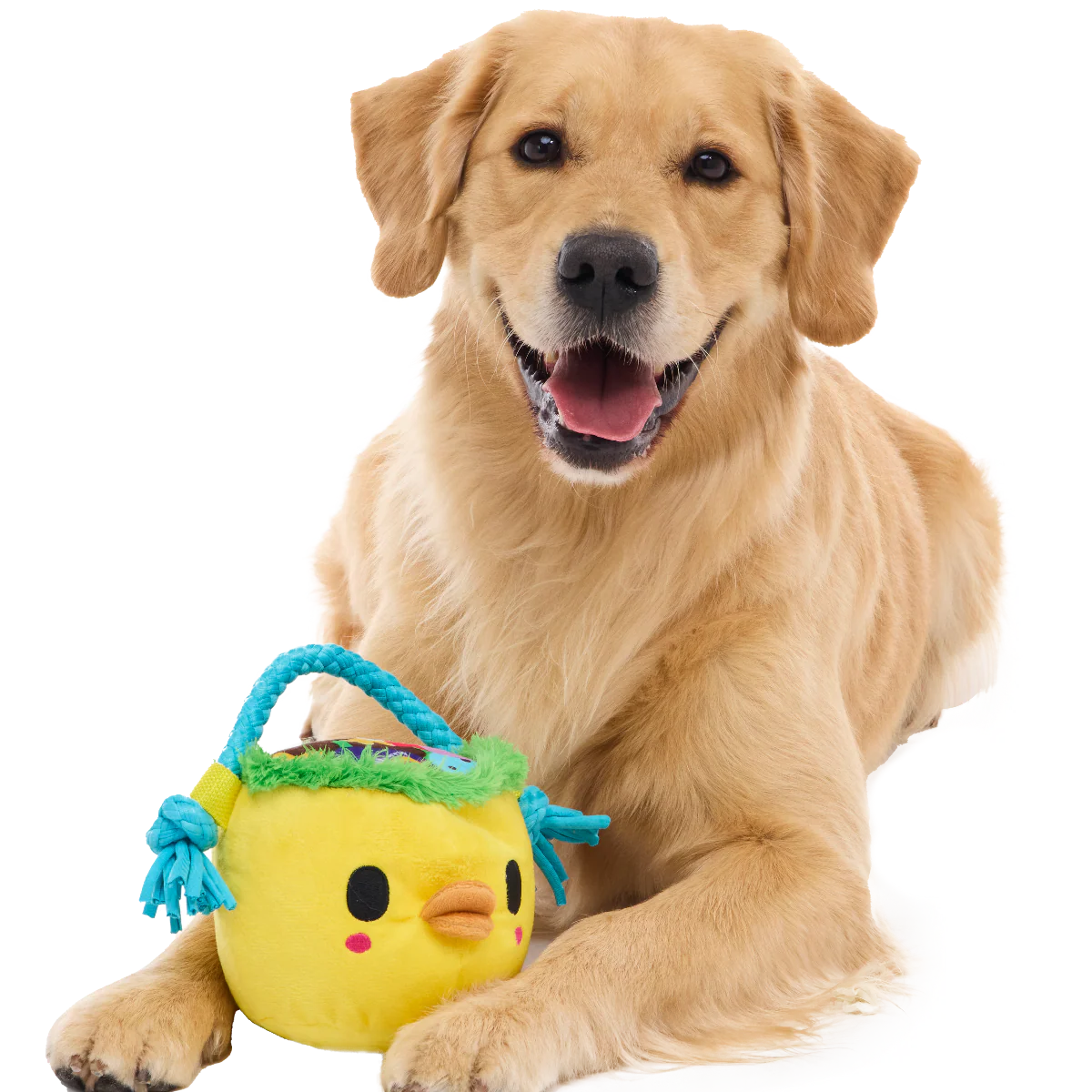 Chicky's Easter Candy Plush Tug Dog Toy - Image 2