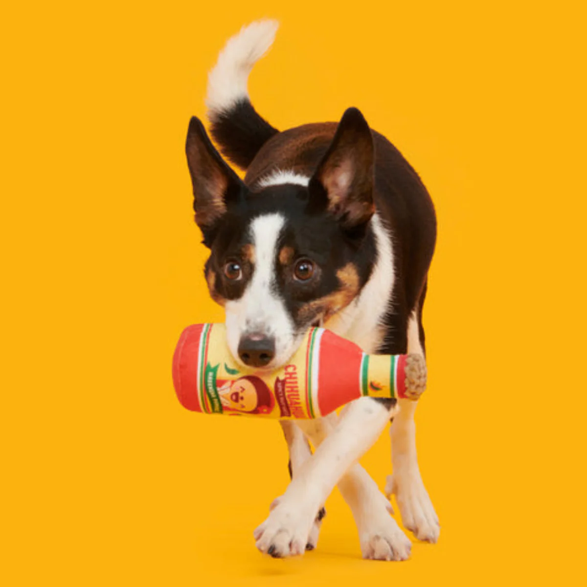 Chihuahua Hot Sauce Plush Tug Dog Toy - Image 2
