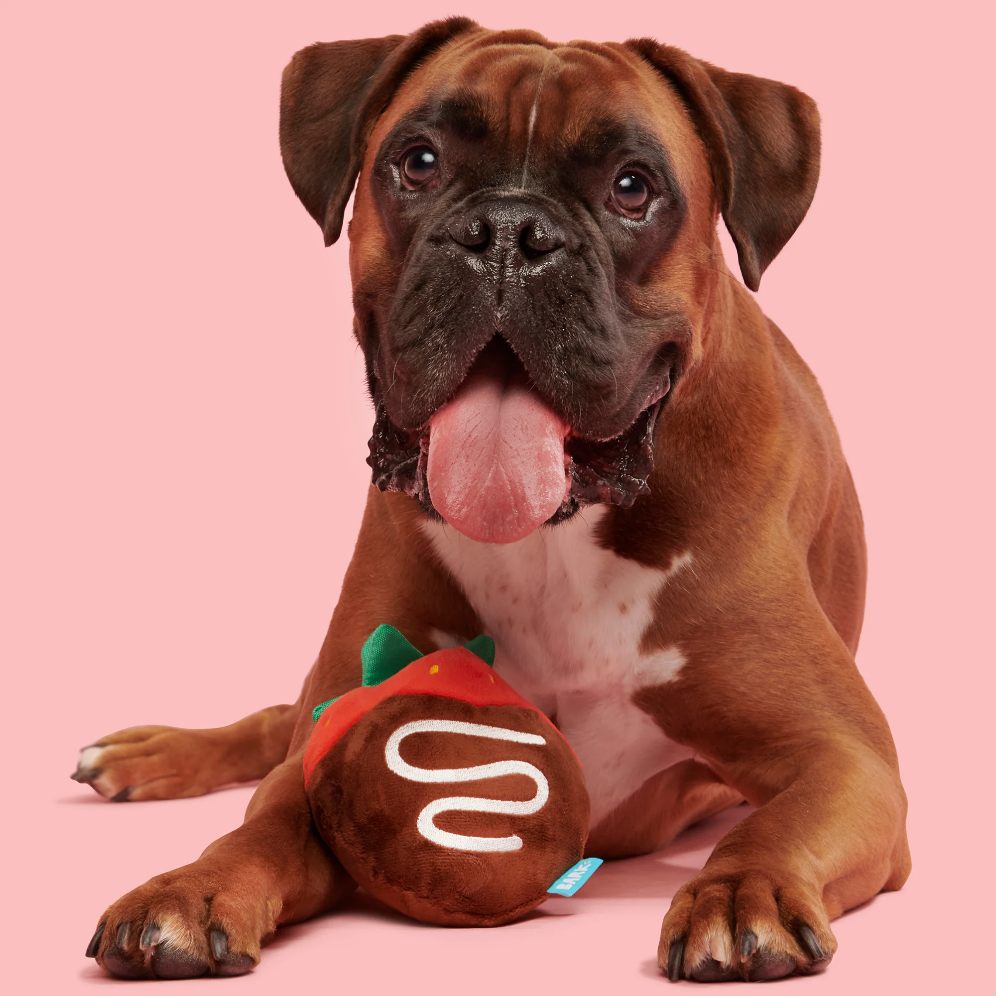 Chocolate Slobber Strawberry Plush Fetch Dog Toy - Image 2
