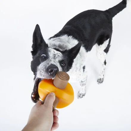 Chompfire Super Chewer Durable Gnaw Dog Toy - Image 4