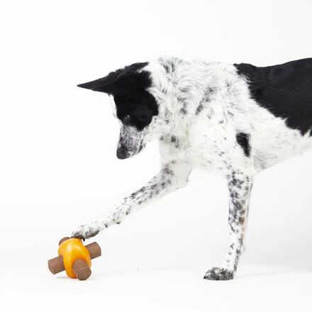 Chompfire Super Chewer Durable Gnaw Dog Toy - Image 5