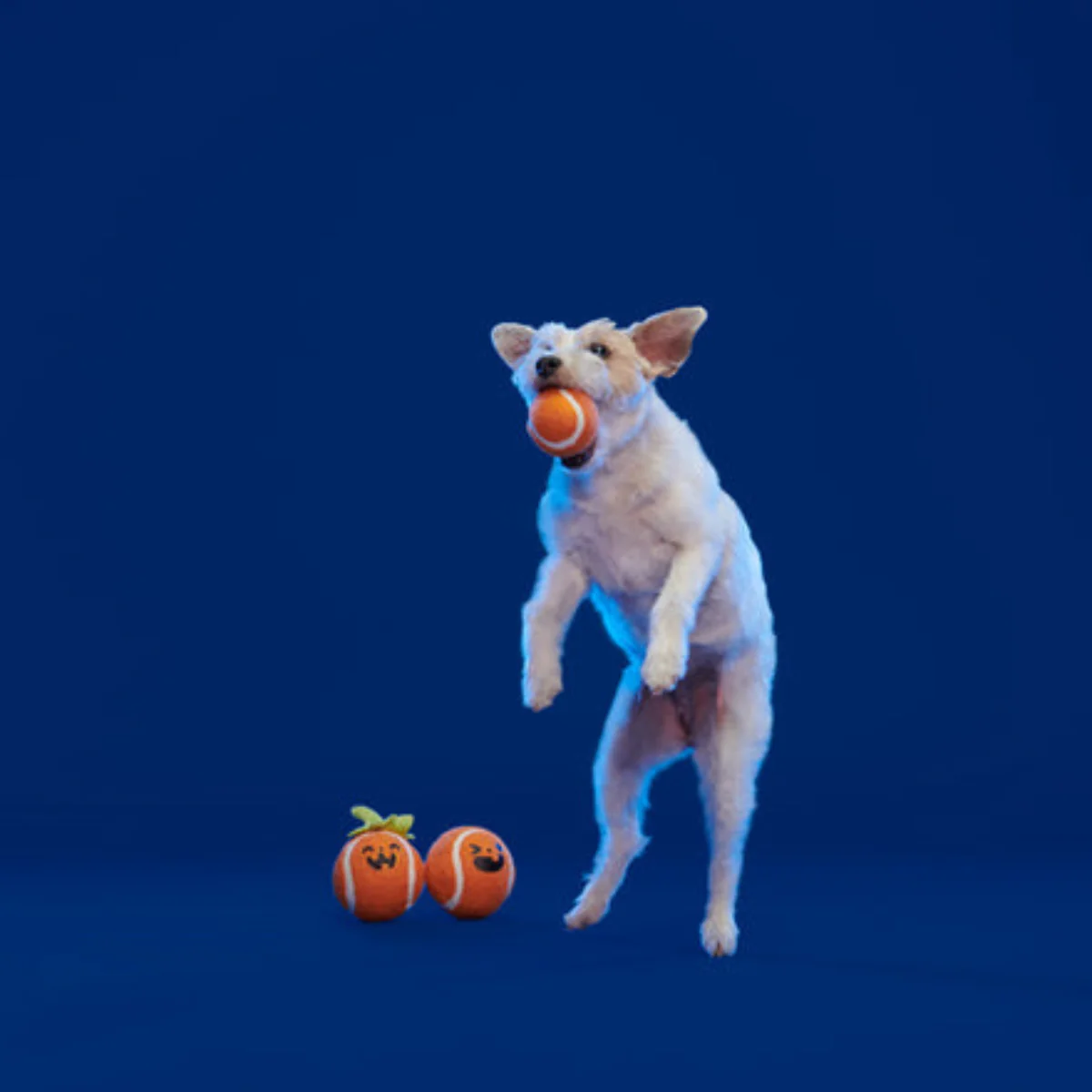 Chuckin' Pumpkins Plush Multi-Part Tennis Ball Dog Toy - Image 2