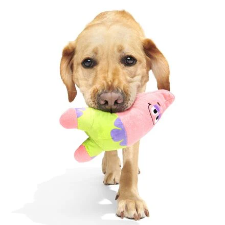 Plush SpongeBob Bundle - Image 15