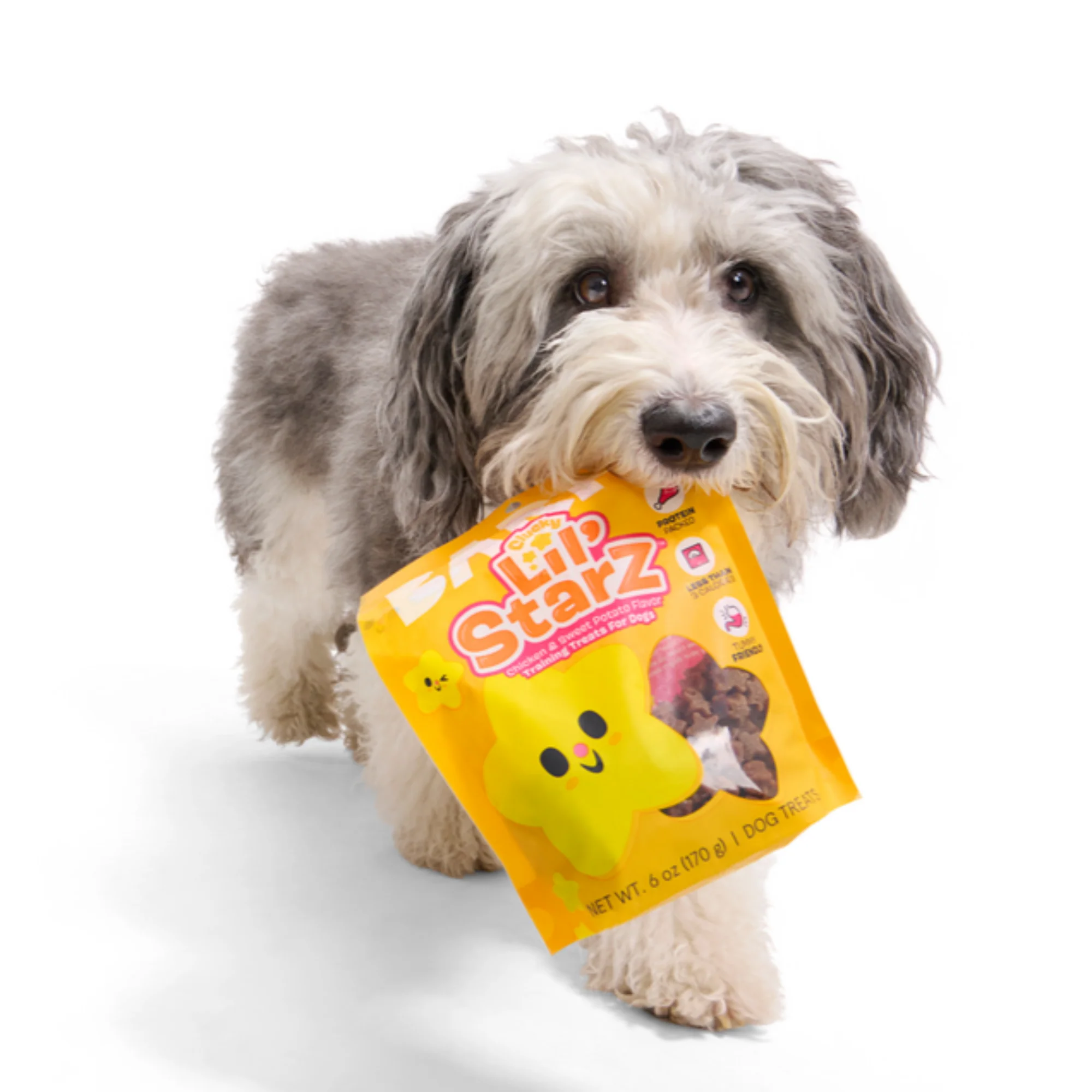 Clucky Lil' Starz Chicken Soft & Chewy Training Dog Treats, 6 oz - Image 6