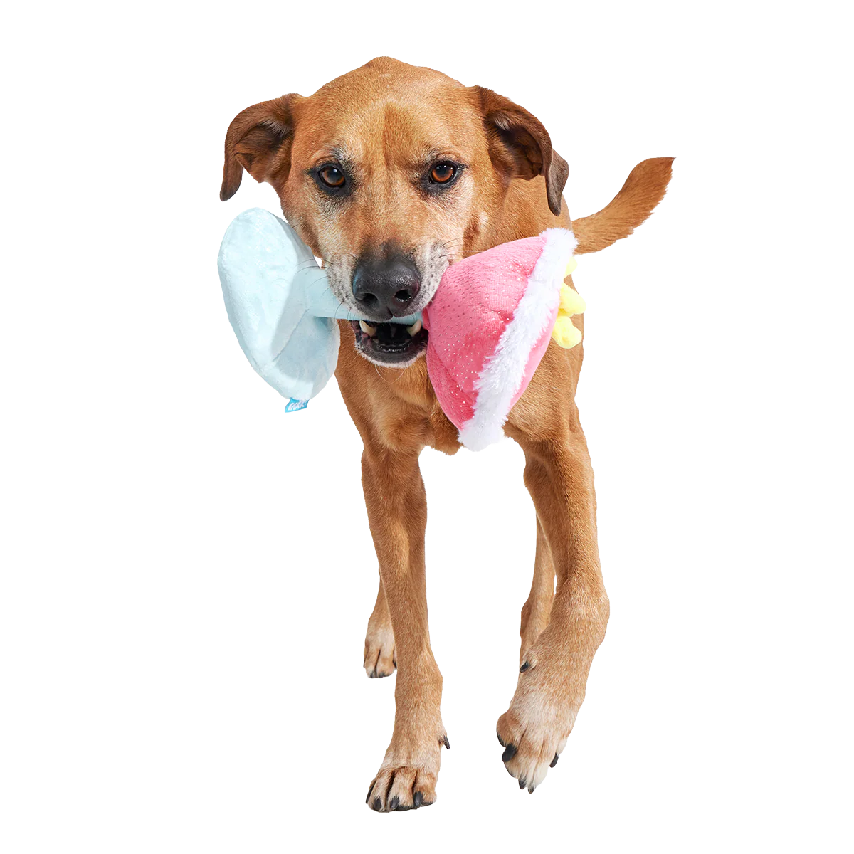 Cocktail Club, Plush Cocktail Monthly Dog Toys - Image 3