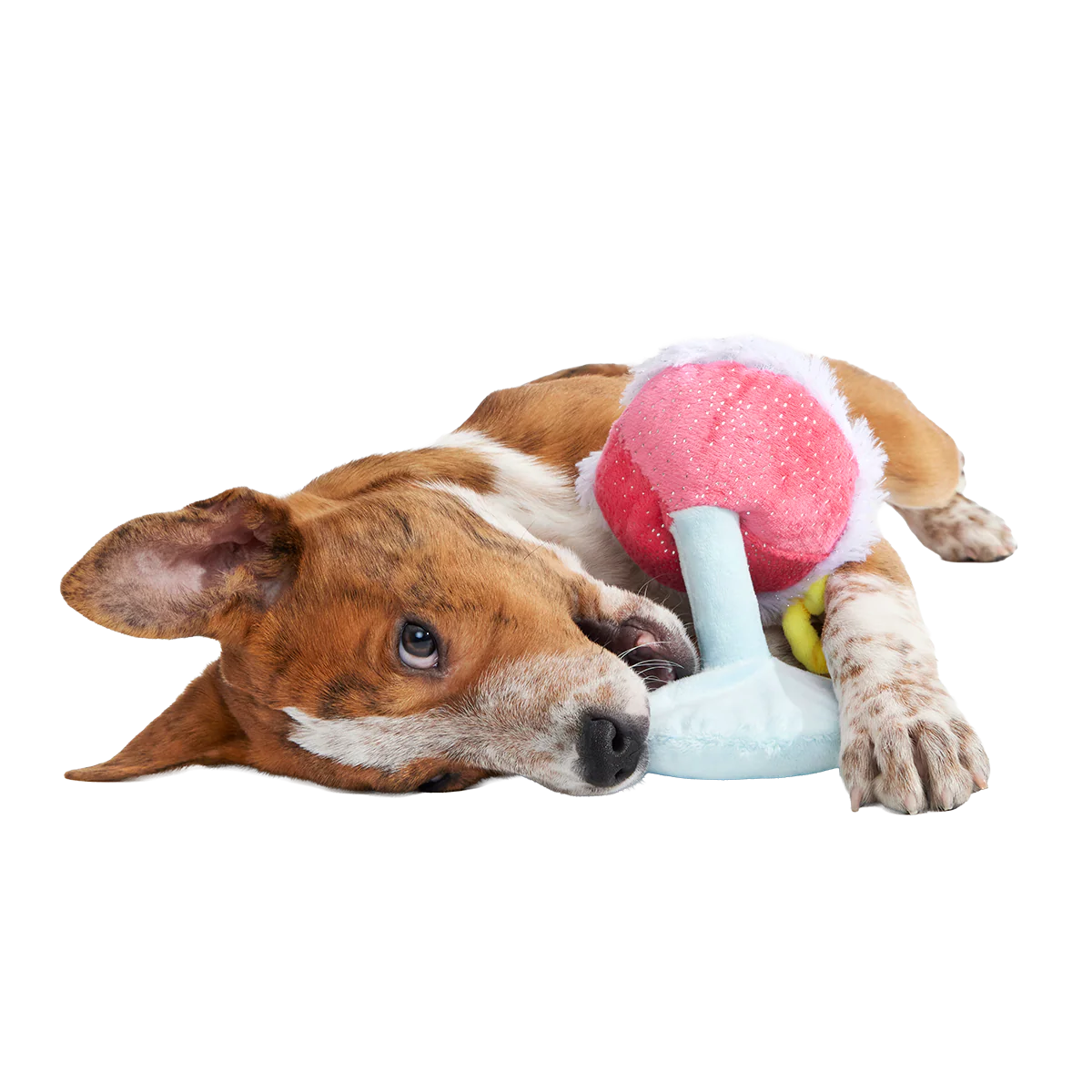 Cocktail Club, Plush Cocktail Monthly Dog Toys - Image 4
