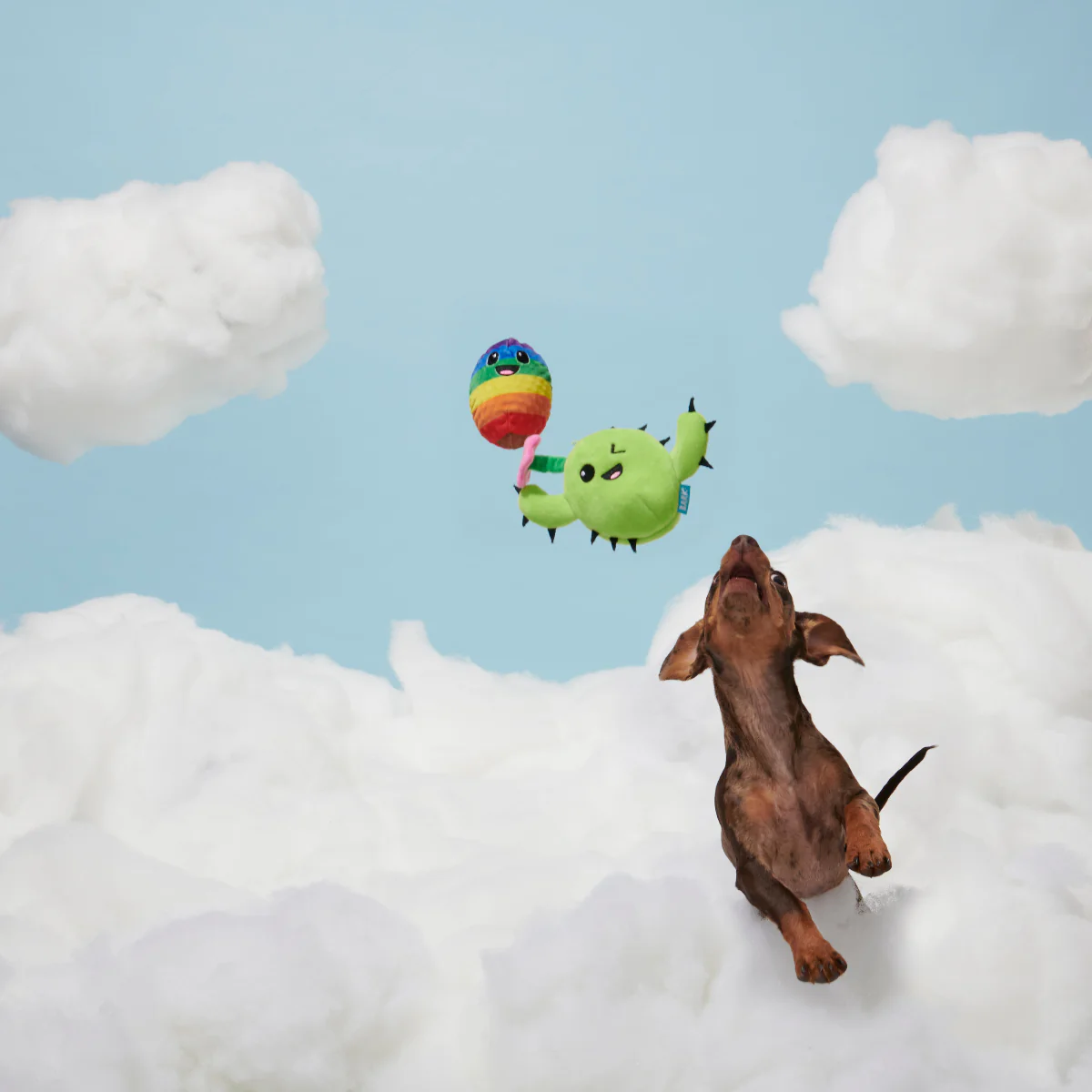 Consuela Comes Out - Image 6