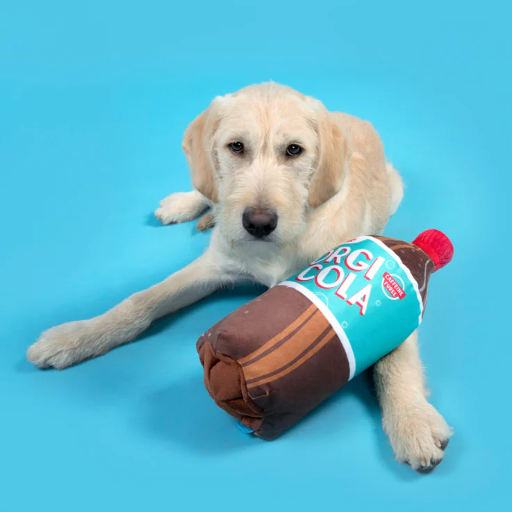 Corgi Cola Plush Dog Toy - Image 2