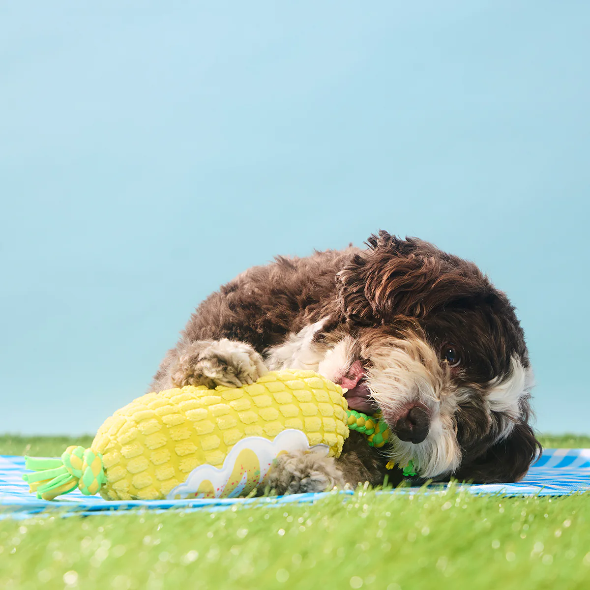 Corn on the Tug Plush Tug Dog Toy - Image 4
