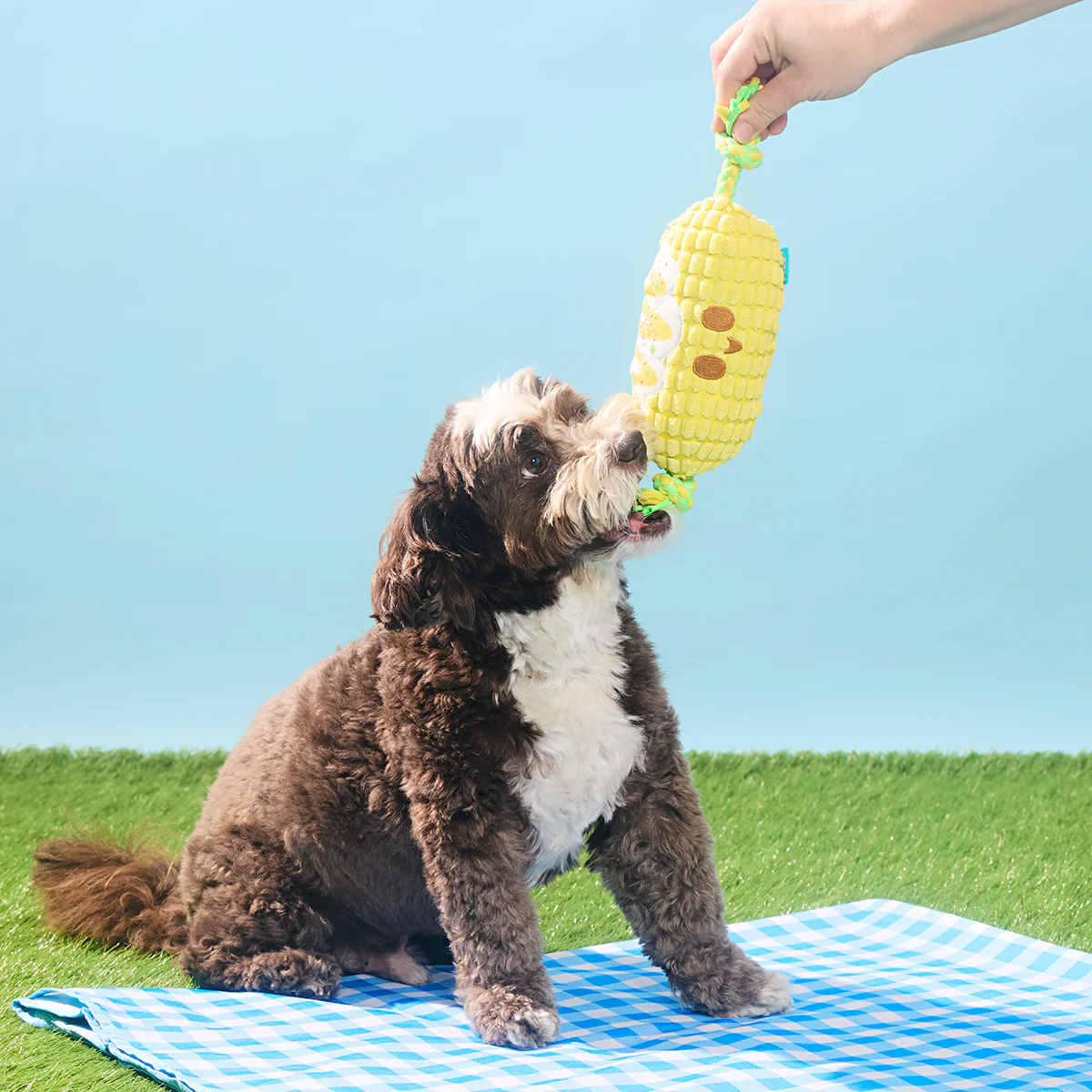 Corn on the Tug Plush Tug Dog Toy - Image 5