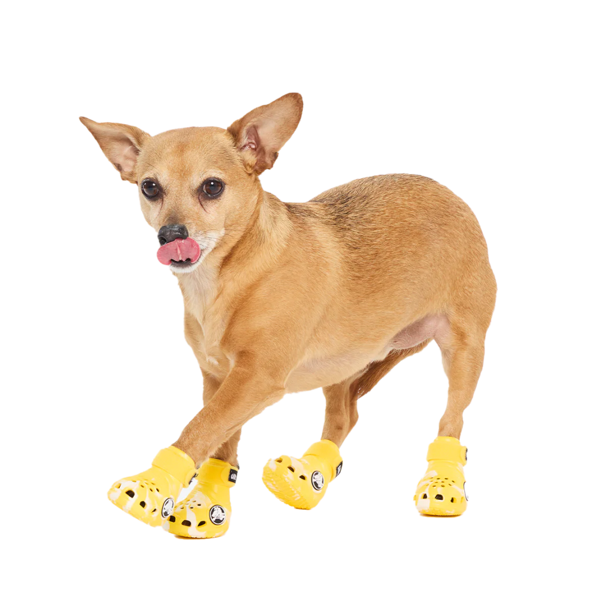 Crocs™ Shoes For Dogs - Image 3