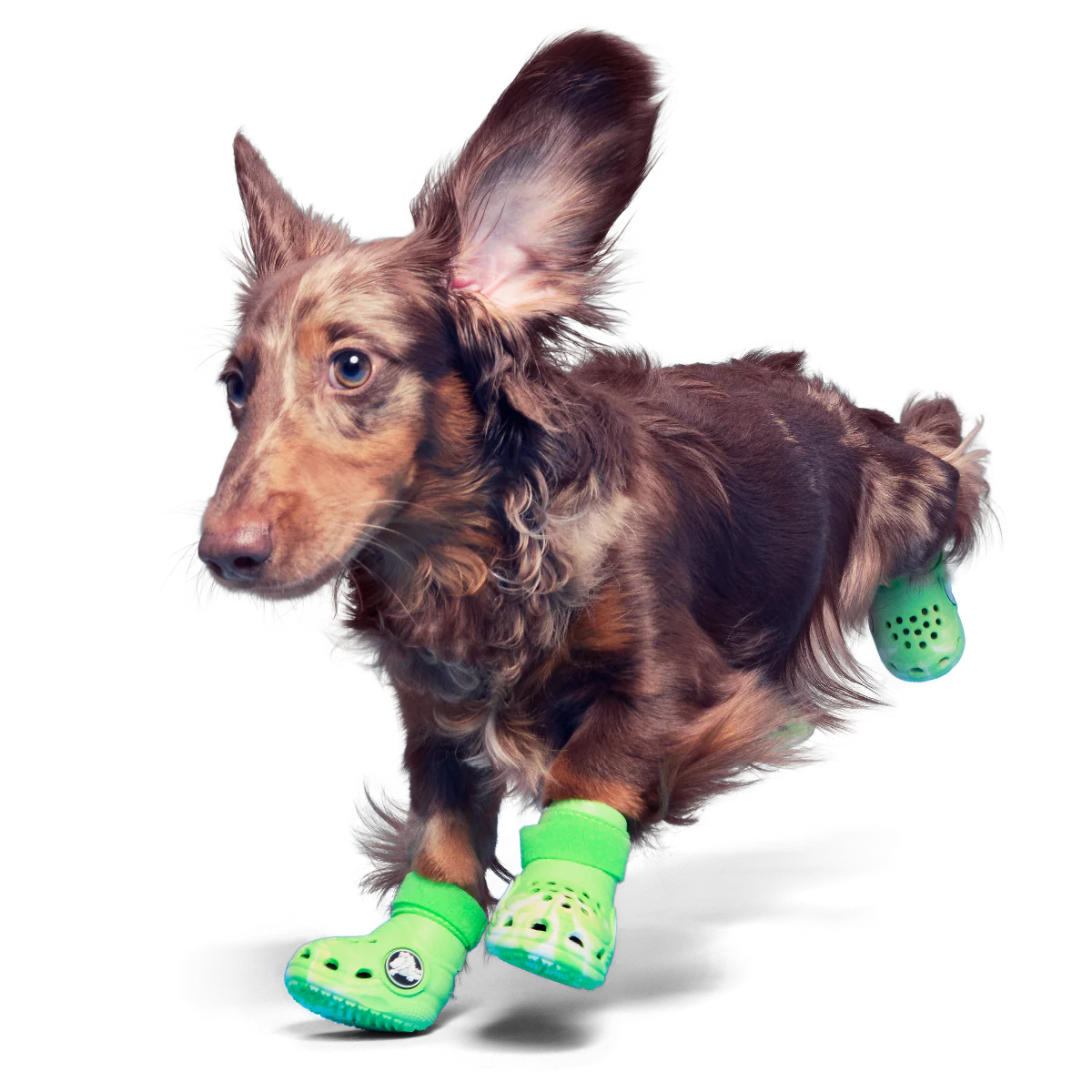 Crocs™ Shoes For Dogs - Image 4