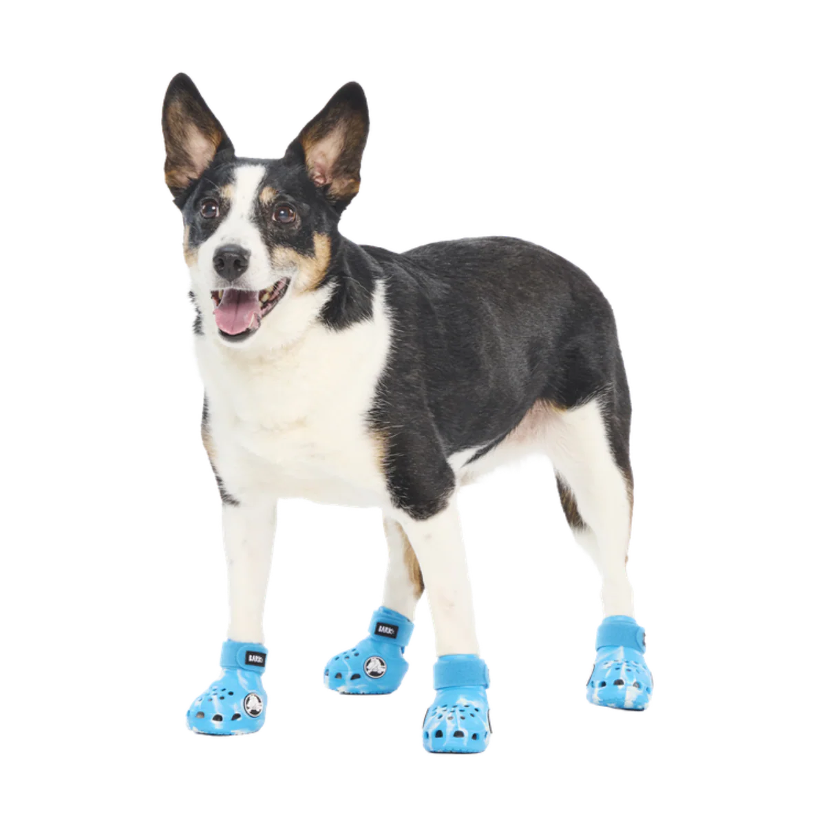 Crocs™ Shoes For Dogs
