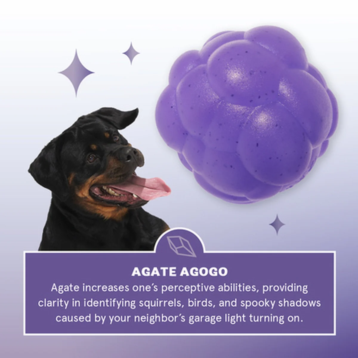 Crystal of the Month Club, Super Chewer Durable Monthly Dog Toys - Image 2