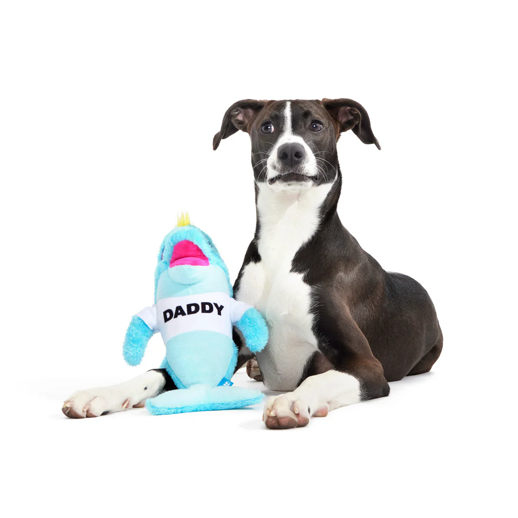 Daddy Dolphin - Image 7