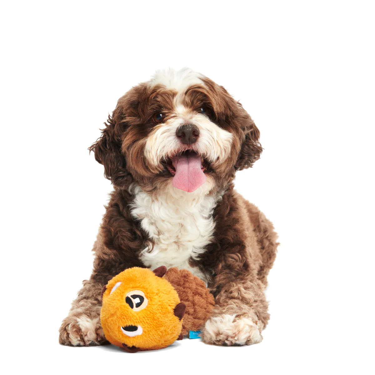 Dam Daniel Plush Tug Dog Toy - Image 2