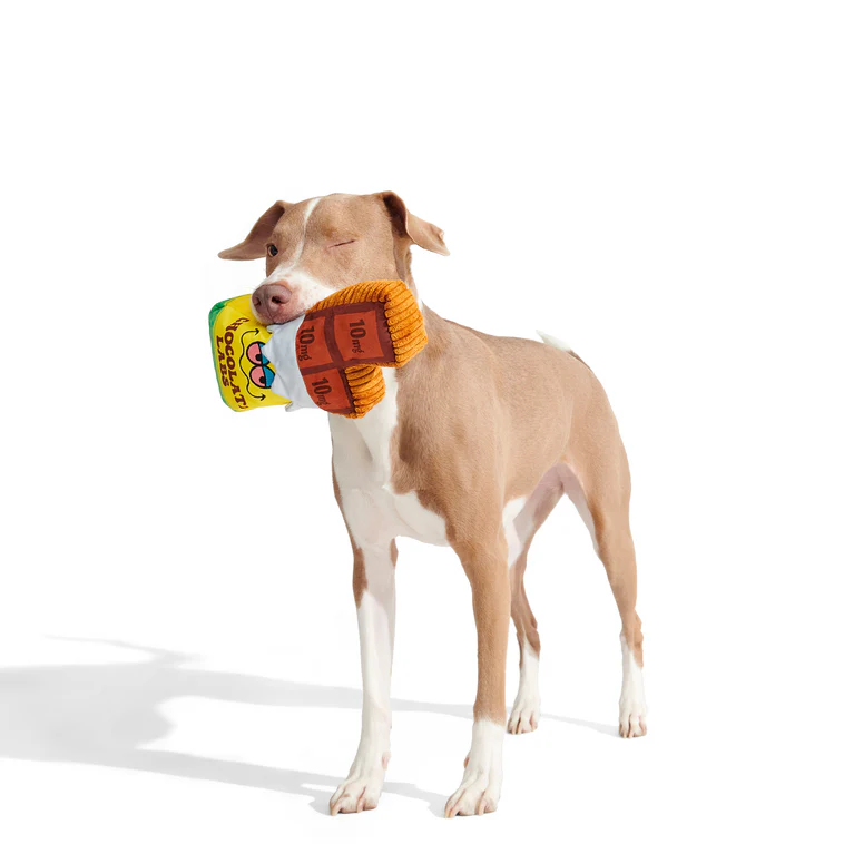 Dank Chocolate Plush Dog Toy - Image 4