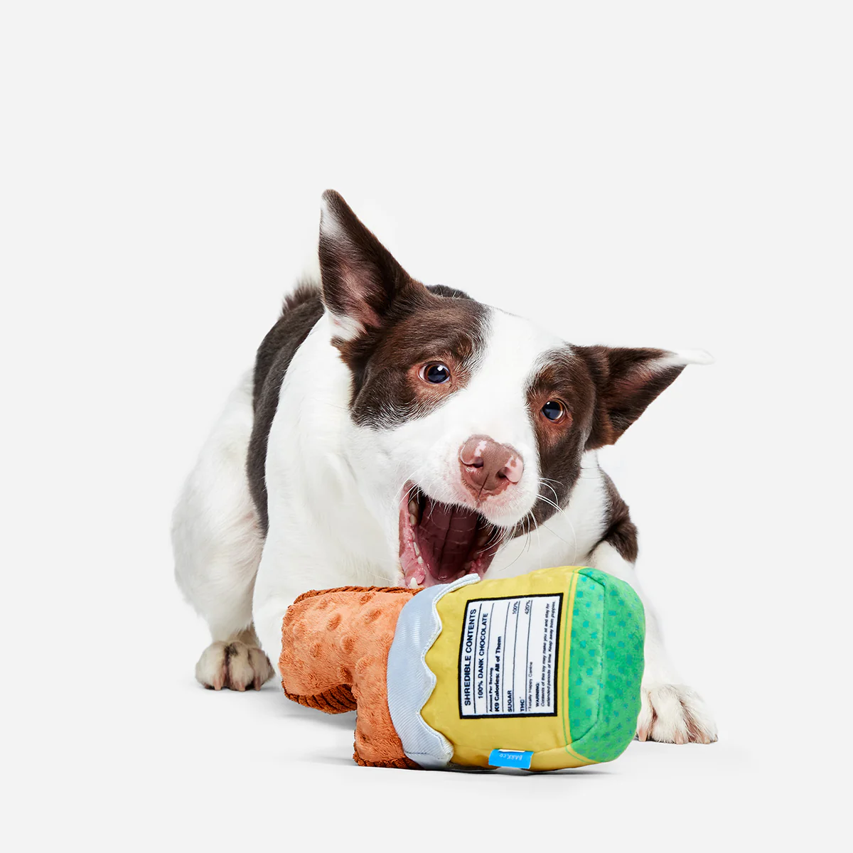 Dank Chocolate Plush Dog Toy - Image 5