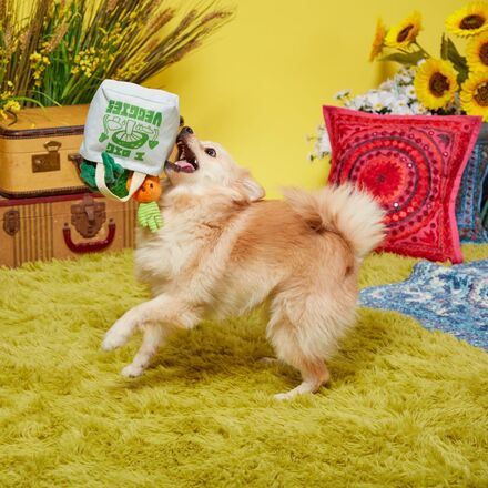 Dig These Veggies Plush Tug + Enrichment Dog Toy - Image 3