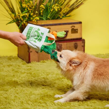 Dig These Veggies Plush Tug + Enrichment Dog Toy - Image 5