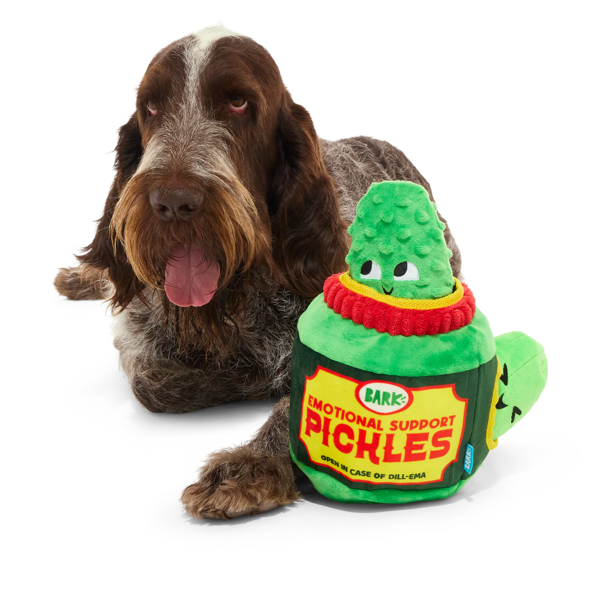 Dill-emma Squad Pickle Plush Multi-Part + Extra-Large Dog Toy - Image 5