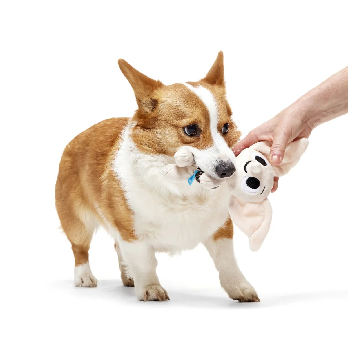Dobby™ Plush 2-in-1 Rip and Reveal + Tug Dog Toy - Image 3