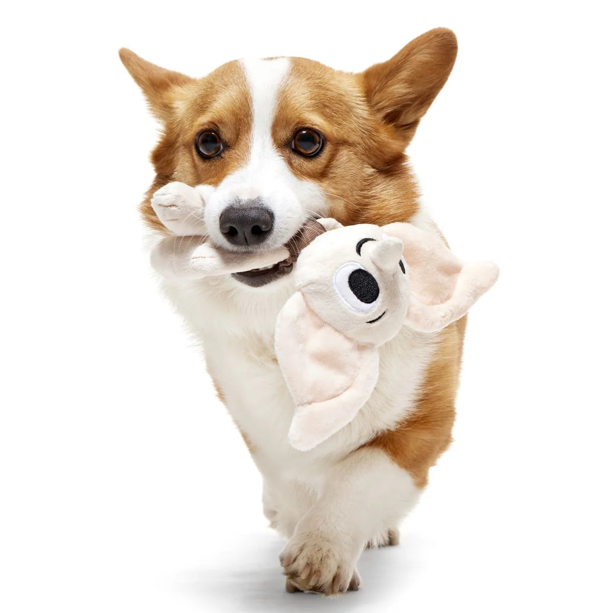 Dobby™ Plush 2-in-1 Rip and Reveal + Tug Dog Toy - Image 4