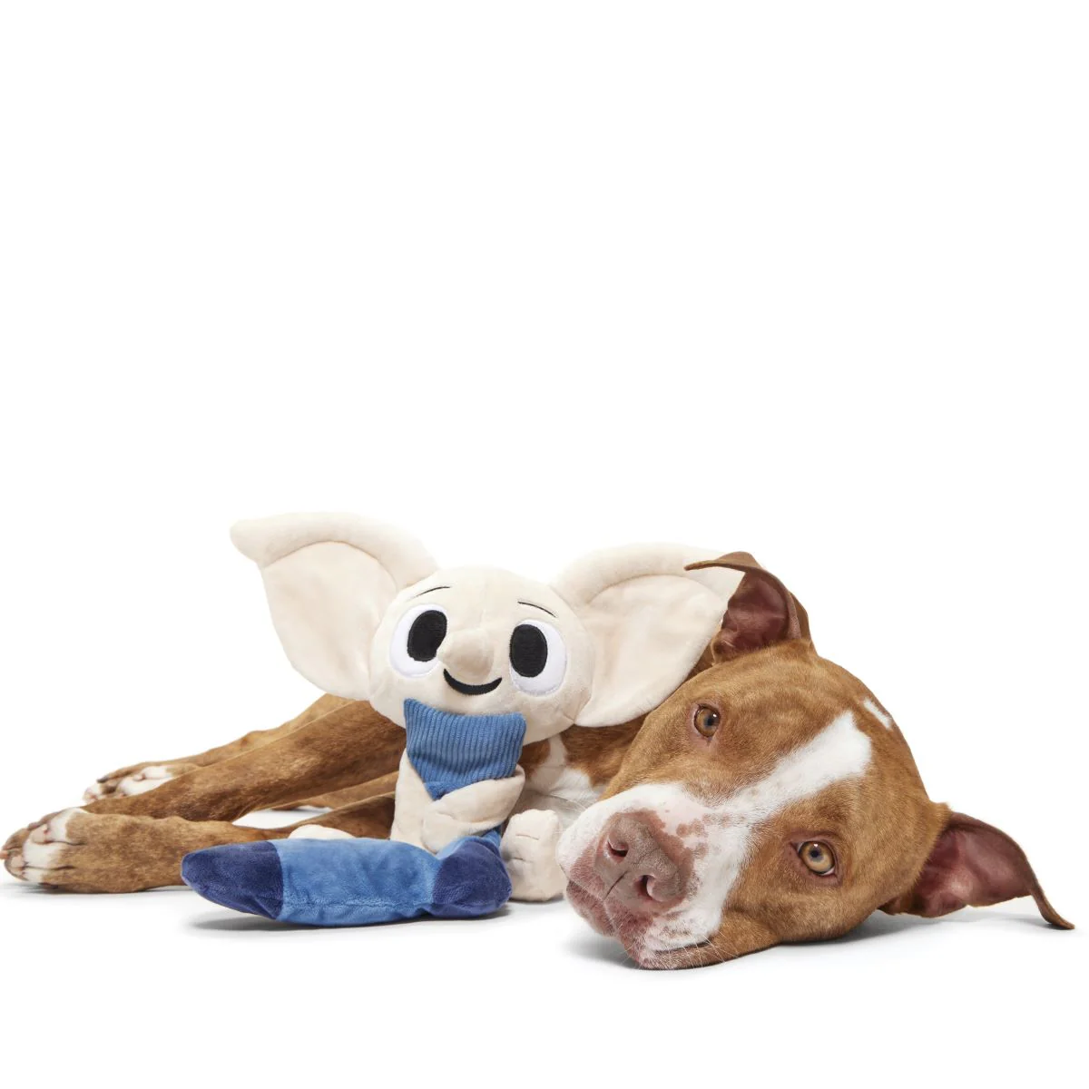 Dobby™ Plush 2-in-1 Rip and Reveal + Tug Dog Toy - Image 5