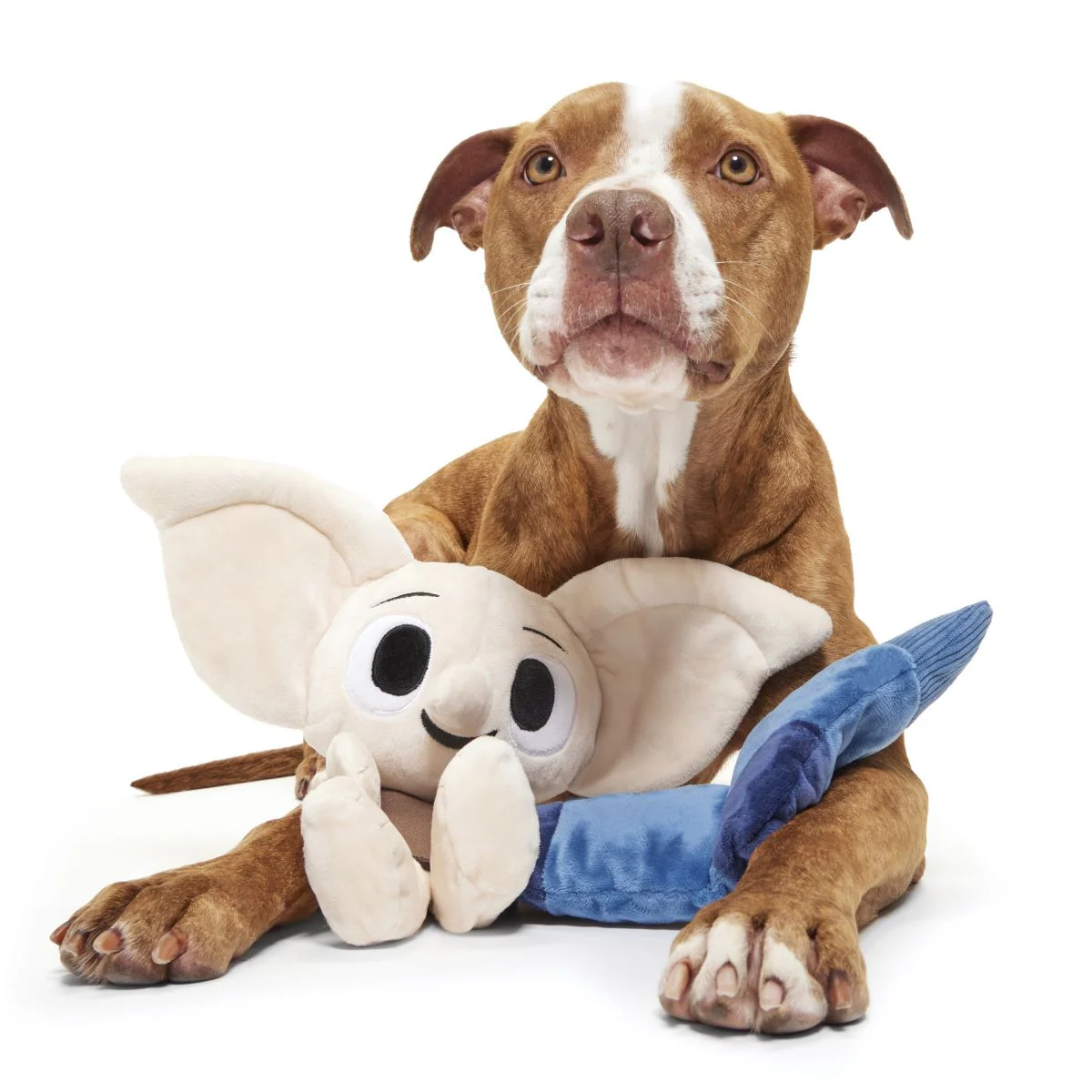 Dobby™ Plush 2-in-1 Rip and Reveal + Tug Dog Toy - Image 6