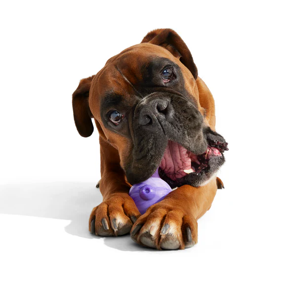 Dog Bowl Super Chewer Durable Gnaw Dog Toy - Image 3