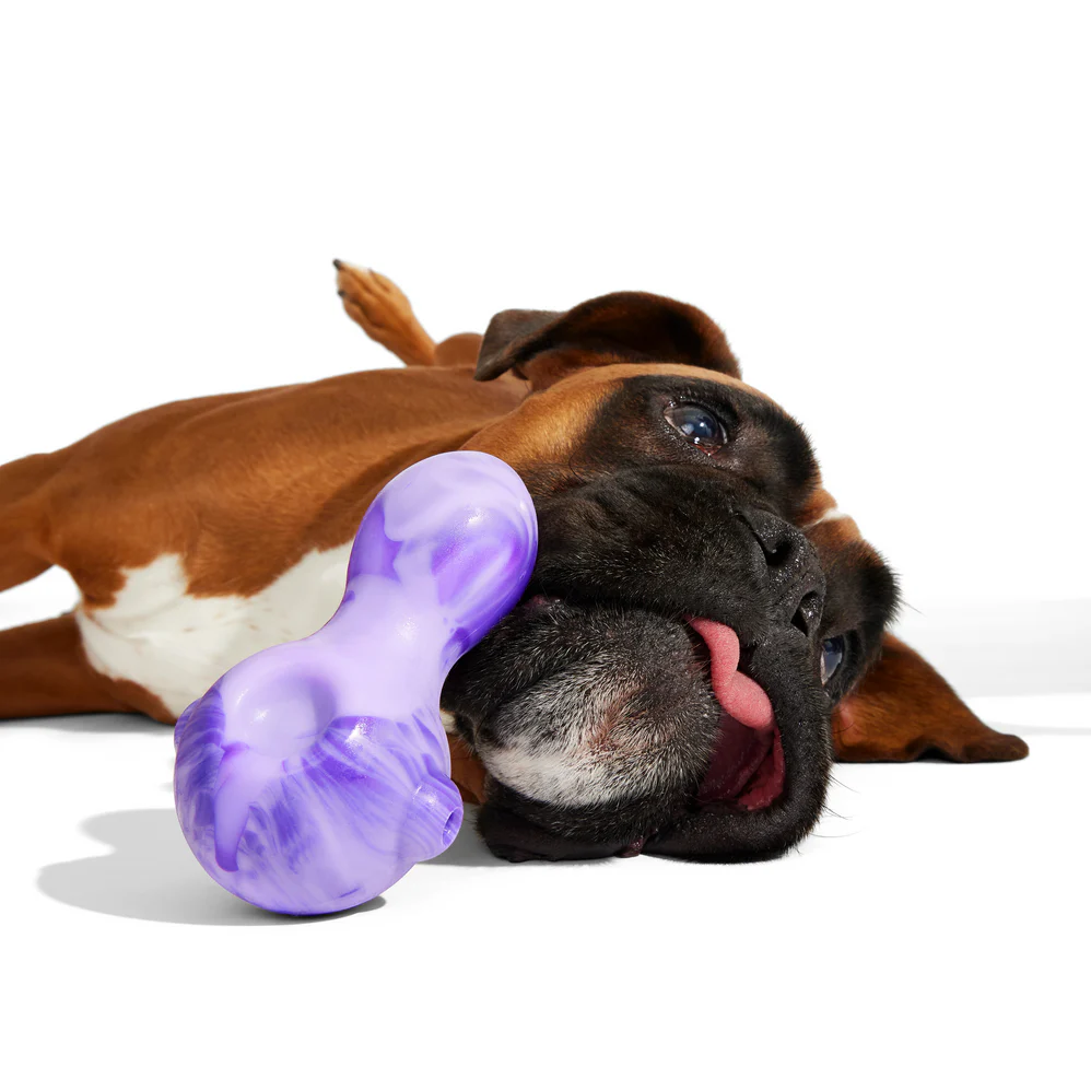 Dog Bowl Super Chewer Durable Gnaw Dog Toy - Image 4