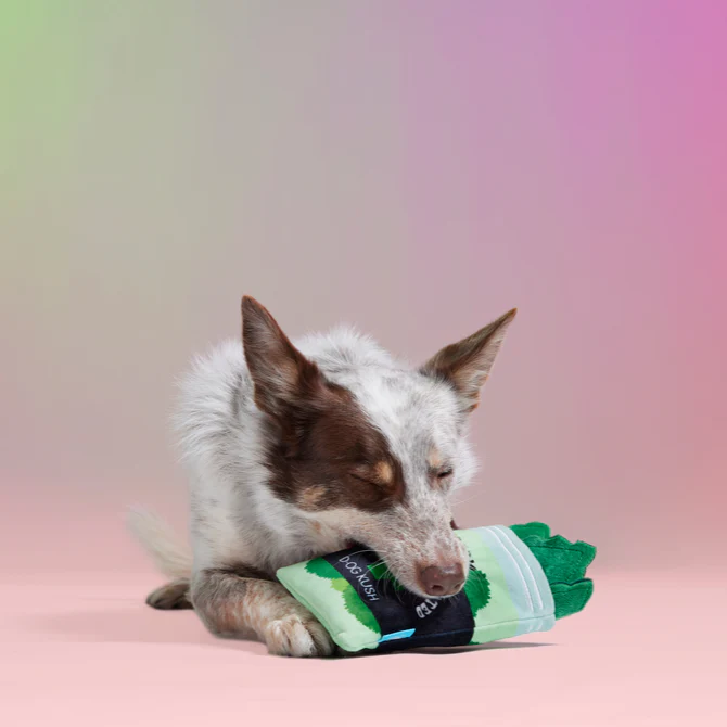 (D)OG Kush Nugs Plush Enrichment + Multi-Part + Fetch Dog Toy - Image 10