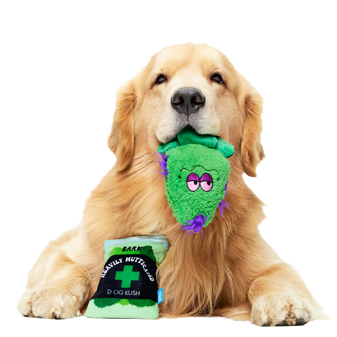 (D)OG Kush Nugs Plush Enrichment + Multi-Part + Fetch Dog Toy - Image 2