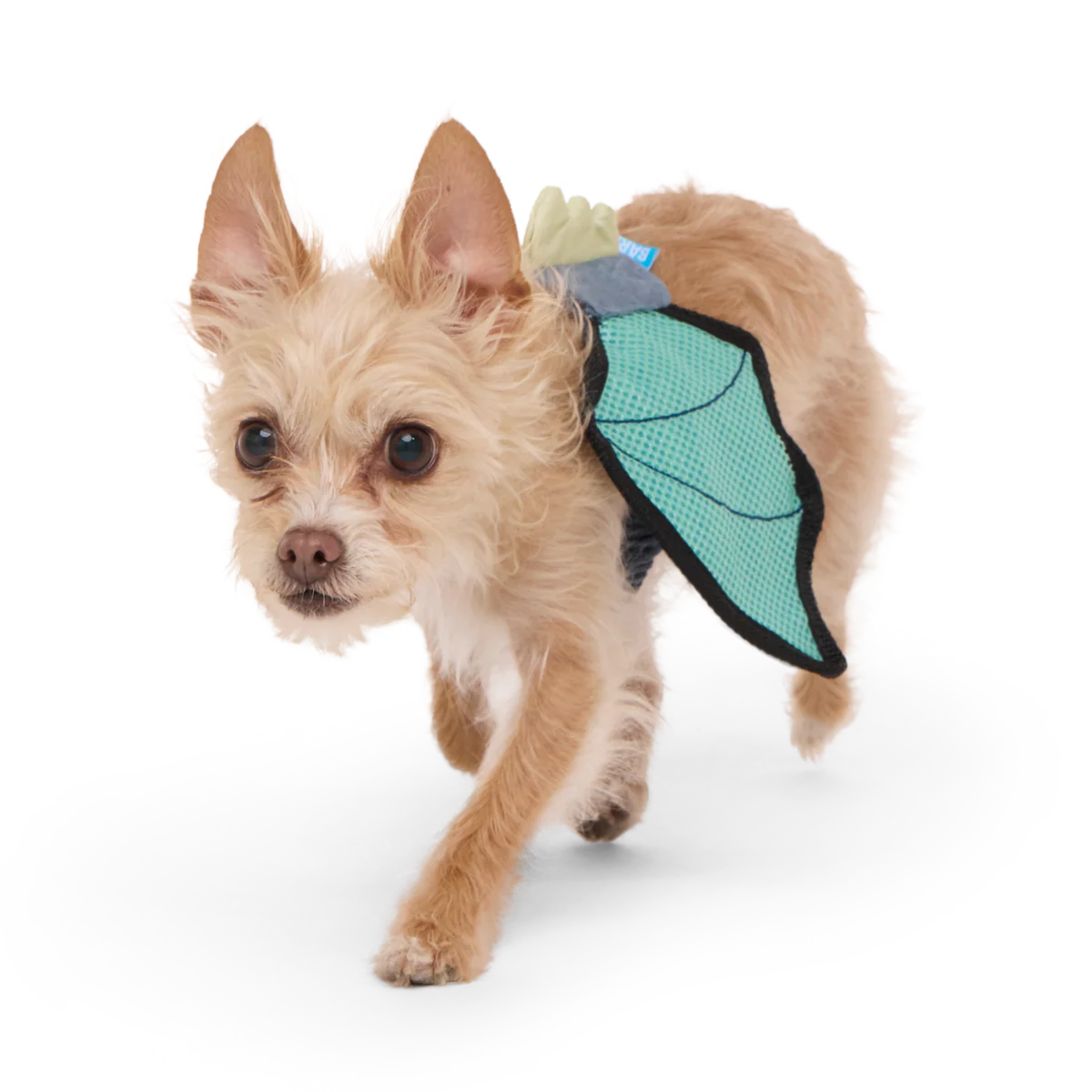 Doggo Dragon Wings Costume + Wearable Dog Toy - Image 2