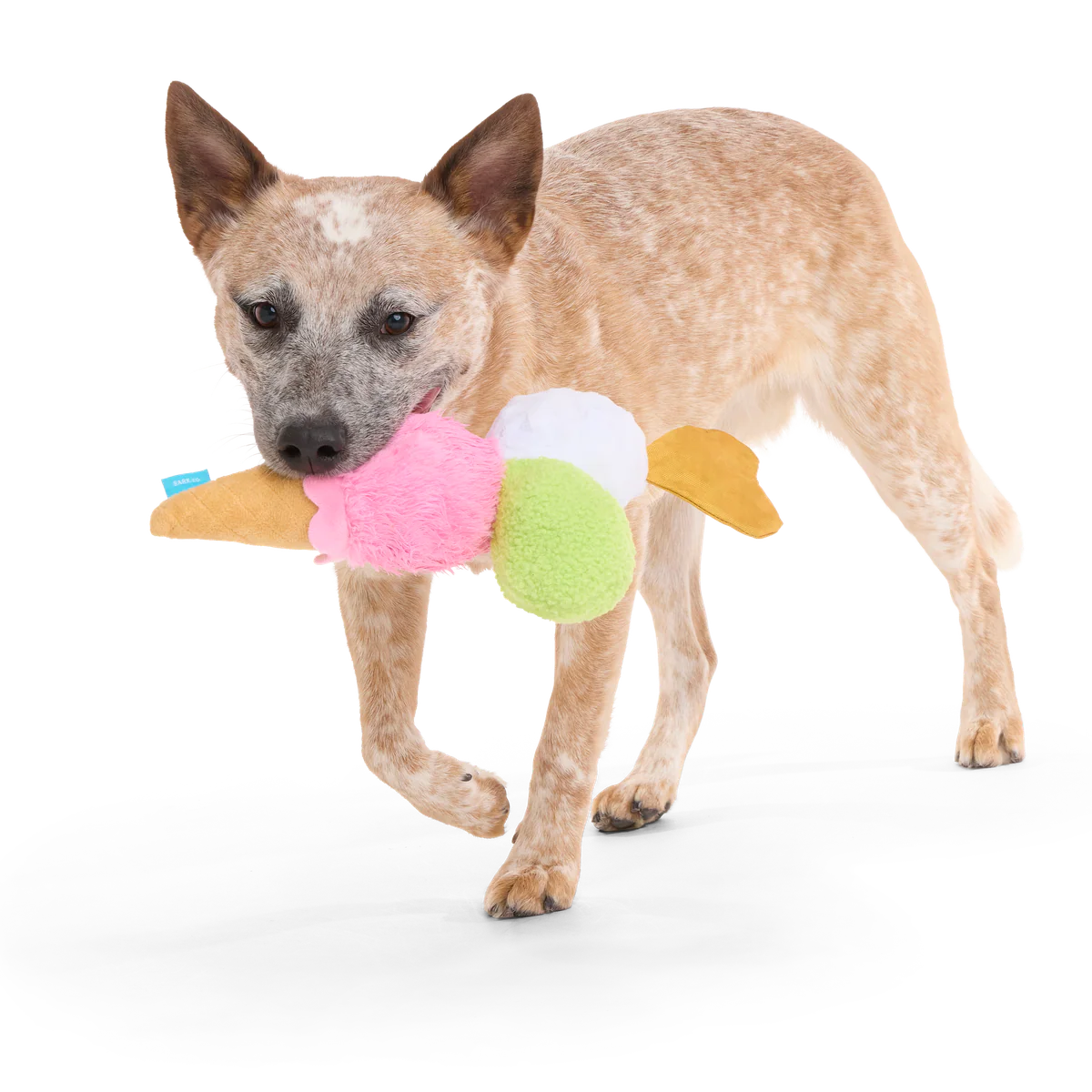 D'oggo Gelato Plush Dog Toy - Image 2