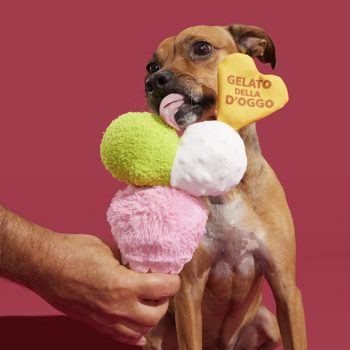 D'oggo Gelato Plush Dog Toy - Image 3