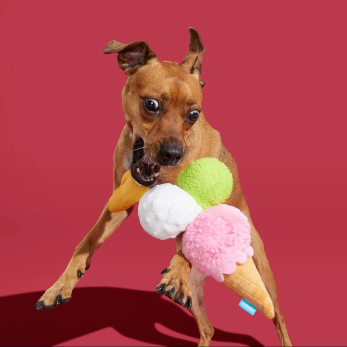 D'oggo Gelato Plush Dog Toy - Image 4
