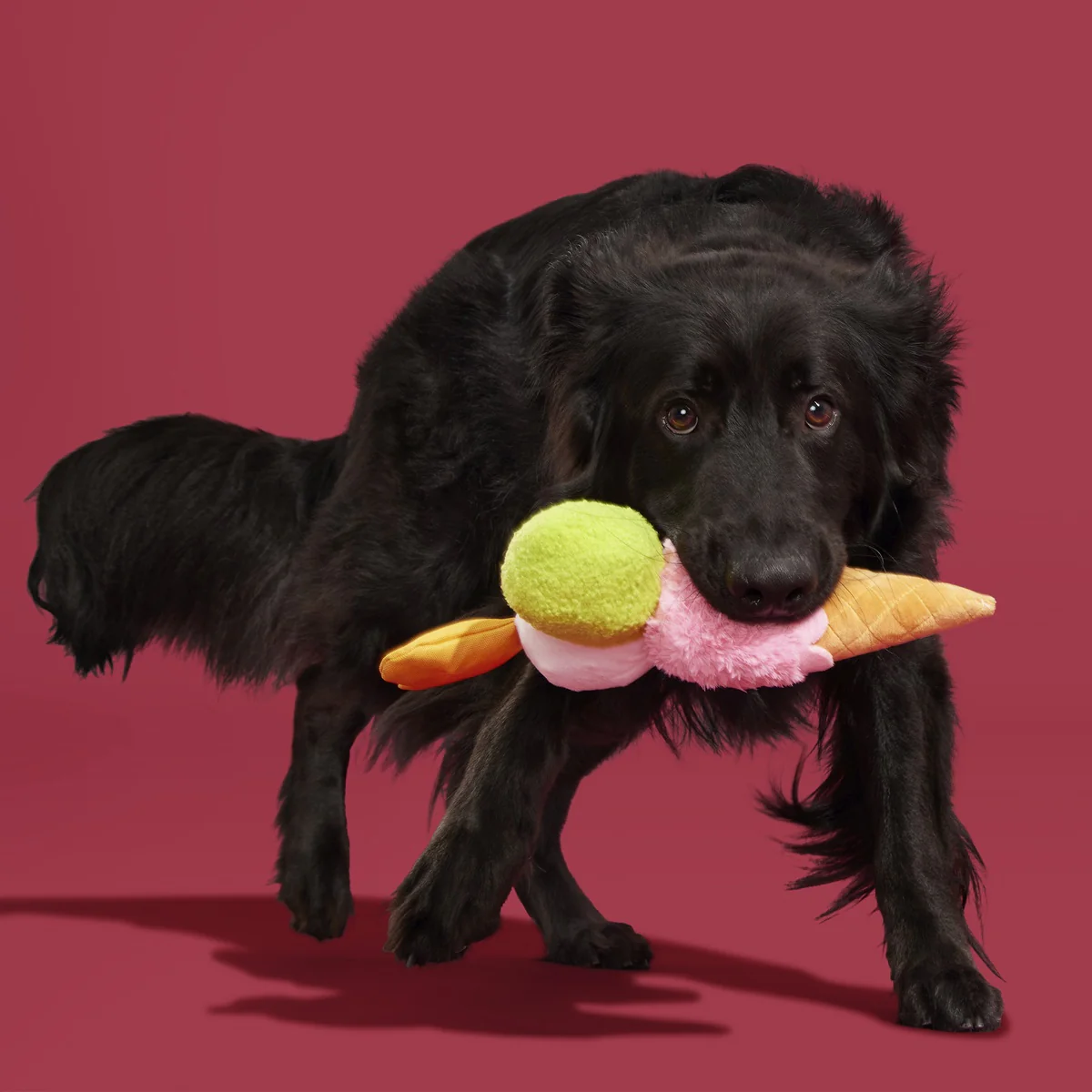 D'oggo Gelato Plush Dog Toy - Image 5