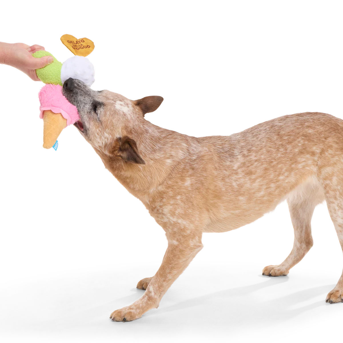 D'oggo Gelato Plush Dog Toy - Image 6