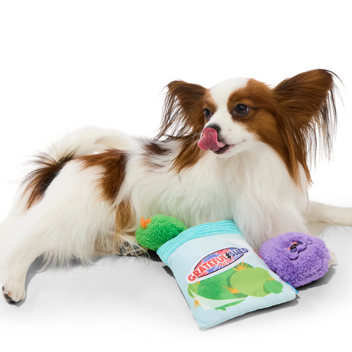 Doggy Bag Plush Multi-Part + Fetch + Enrichment Dog Toy - Image 2