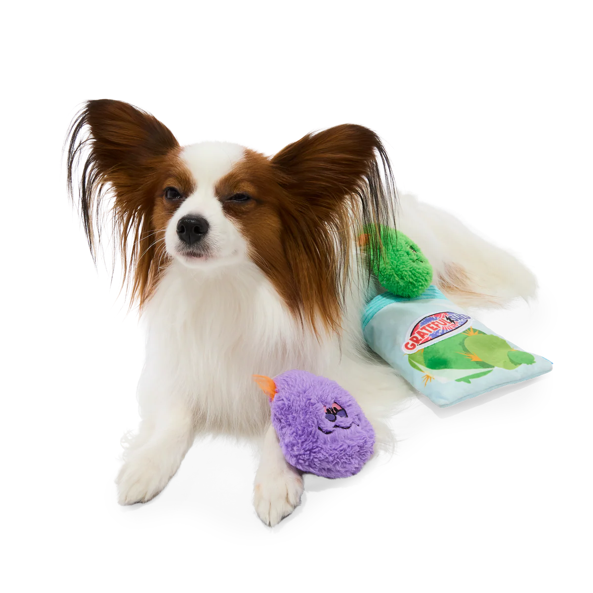 Doggy Bag Plush Multi-Part + Fetch + Enrichment Dog Toy - Image 3