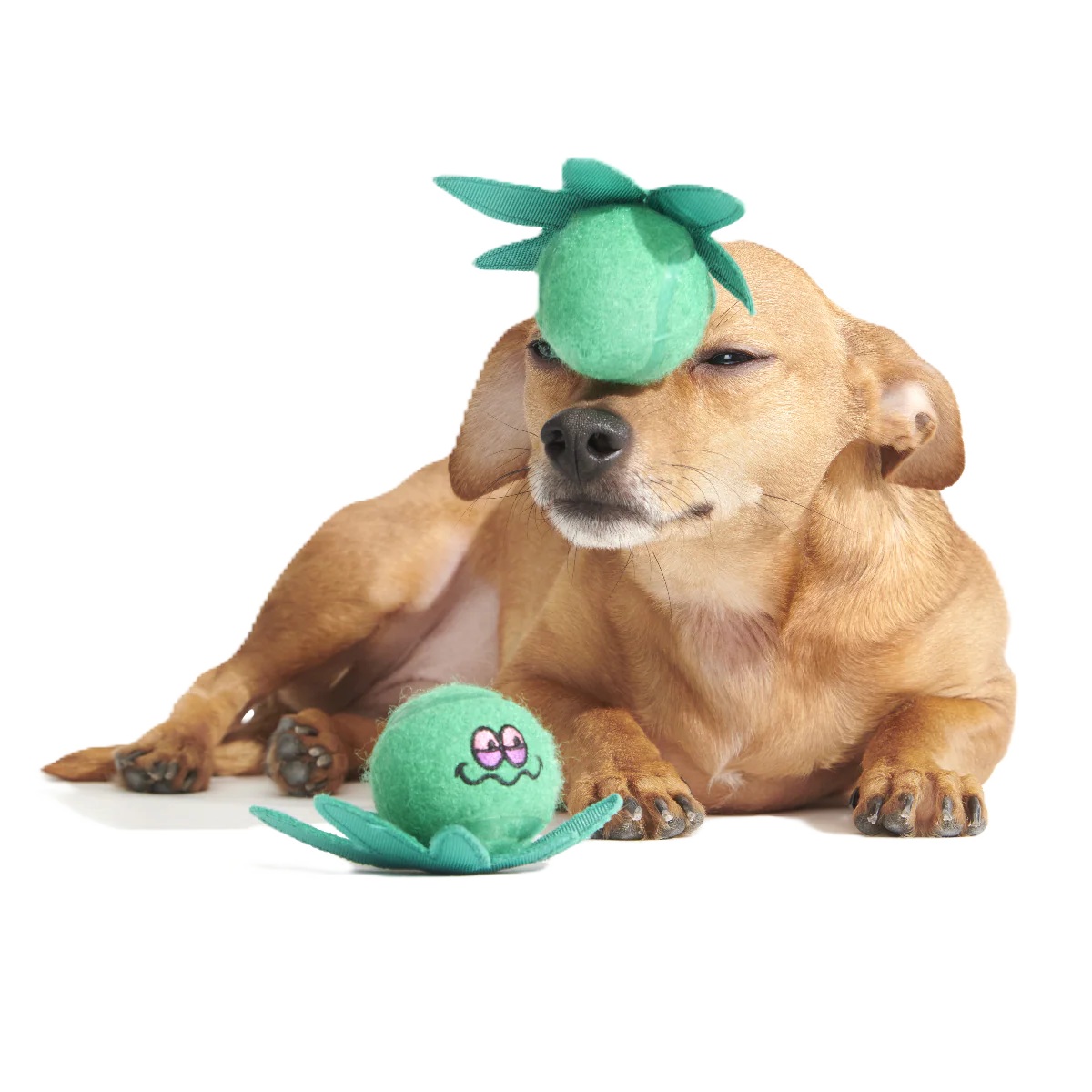 Dope Tennis Balls Plush Multi-Part + Fetch Dog Toy - Image 2