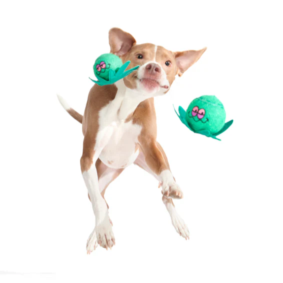 Dope Tennis Balls Plush Multi-Part + Fetch Dog Toy - Image 3