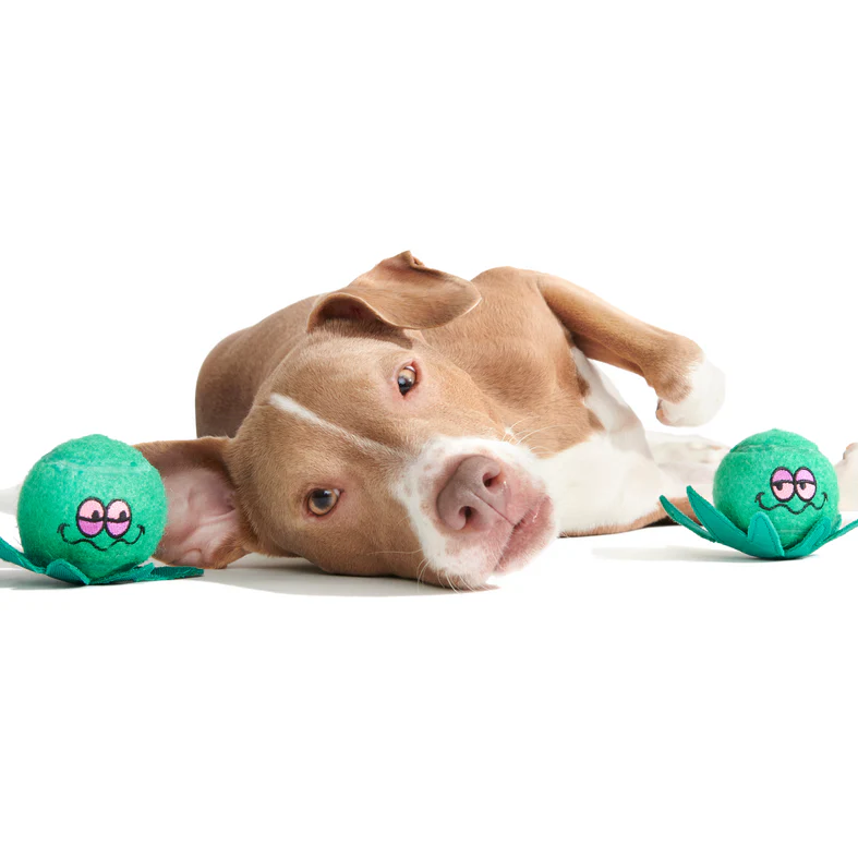 Dope Tennis Balls Plush Multi-Part + Fetch Dog Toy - Image 4