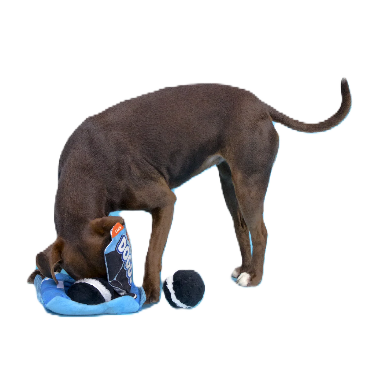 Dogo Dunkers Plush Enrichment + Multi-Part + Fetch Dog Toy - Image 2