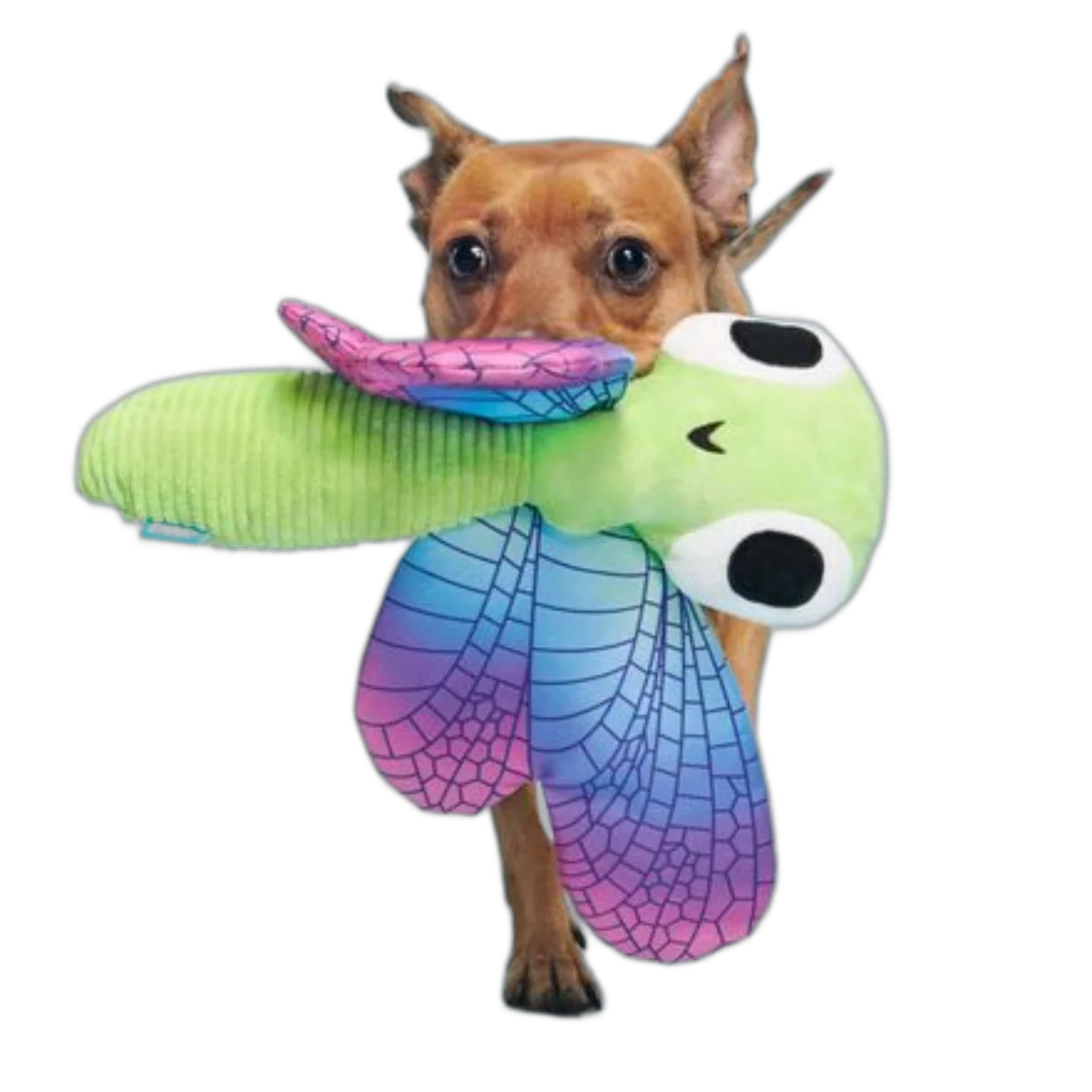 Dragonfly Guy Plush Tug + Extra-Large Dog Toy - Image 3