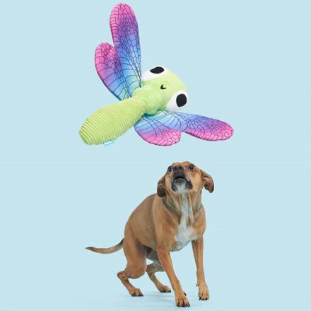 Dragonfly Guy Plush Tug + Extra-Large Dog Toy - Image 5