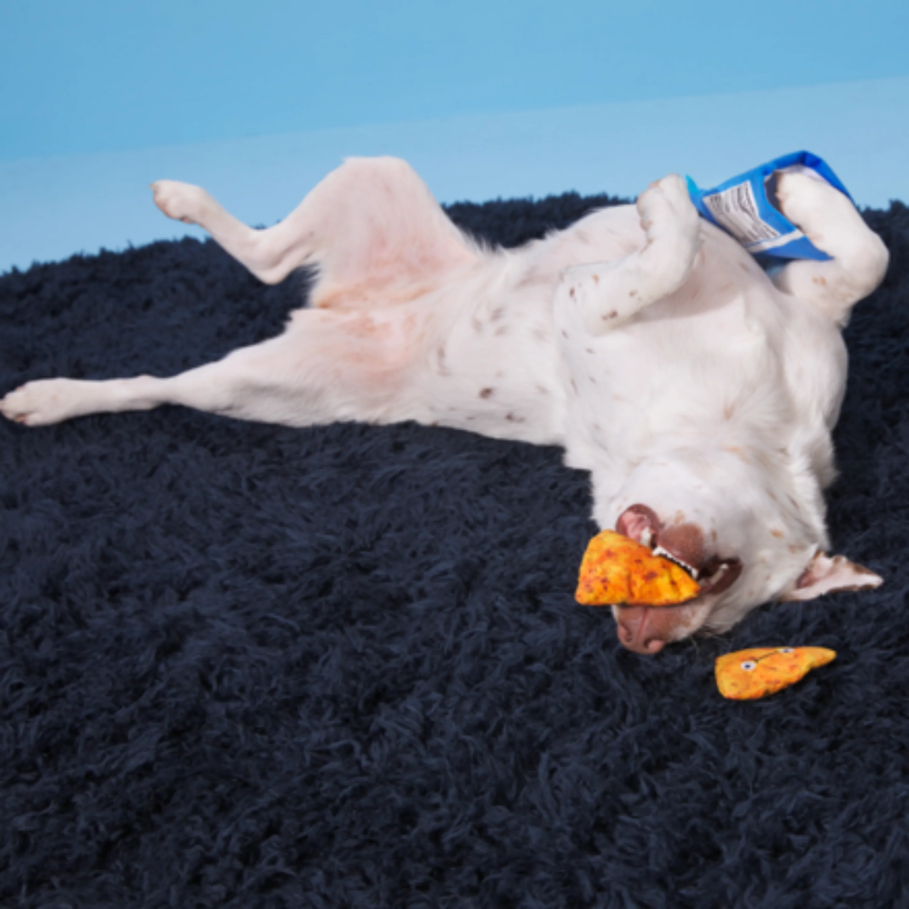 Drool Ranch Chips Plush Enrichment + Multi-Part Dog Toy - Image 4