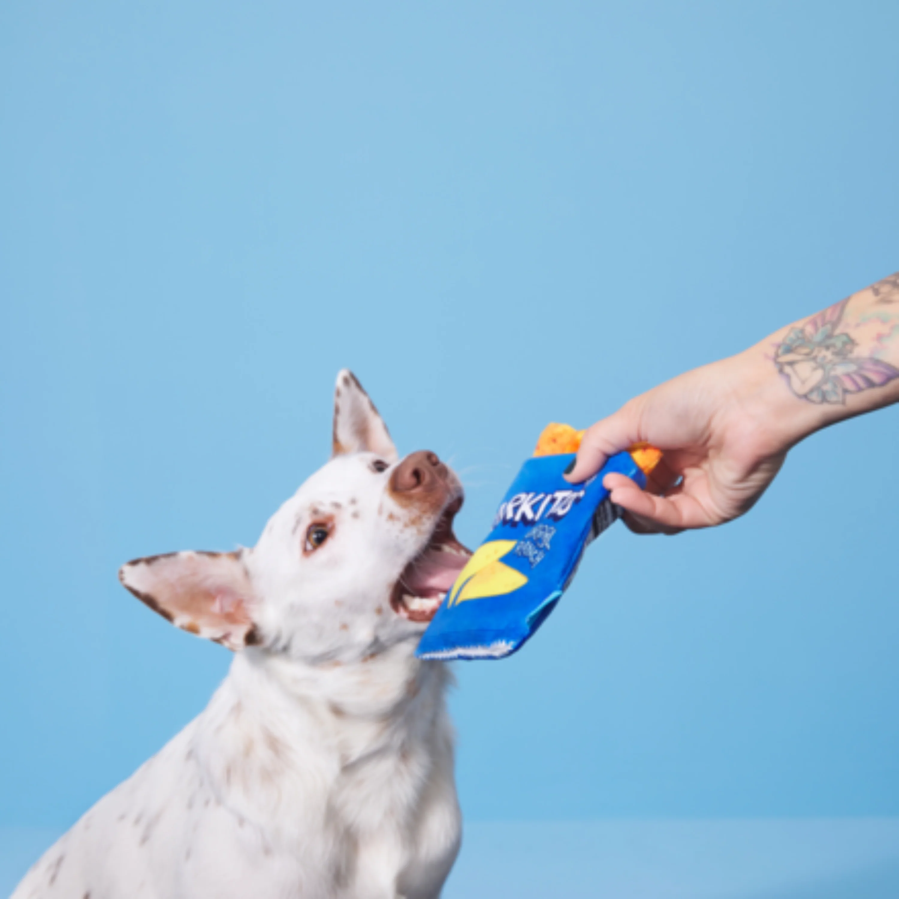 Drool Ranch Chips Plush Enrichment + Multi-Part Dog Toy - Image 5